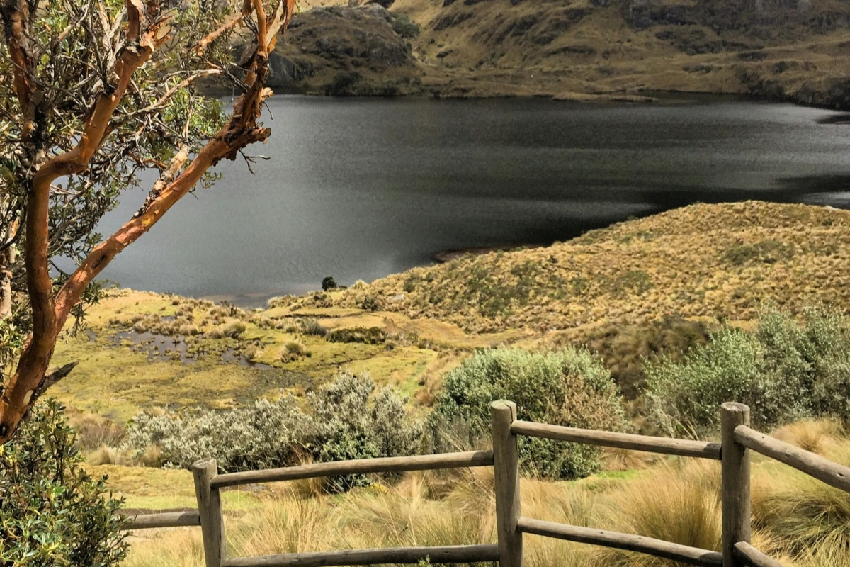 Cómo ganar seguidores en Instagram en Ecuador