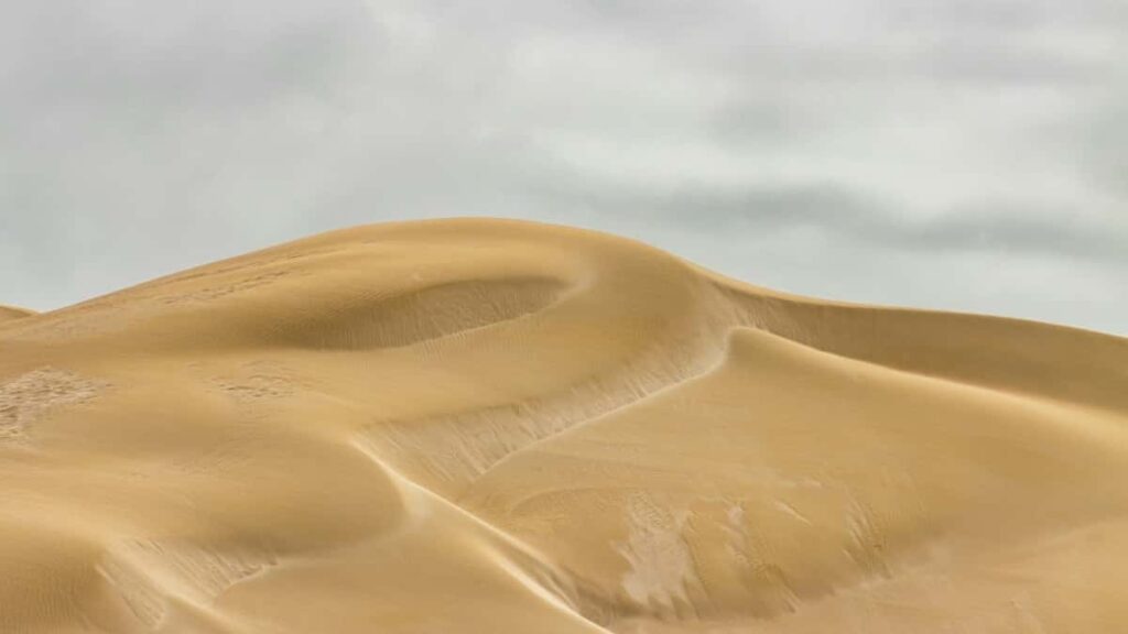 Tarifas de Publicidad en Telegram Arabia Saudita 2025 Ecuador