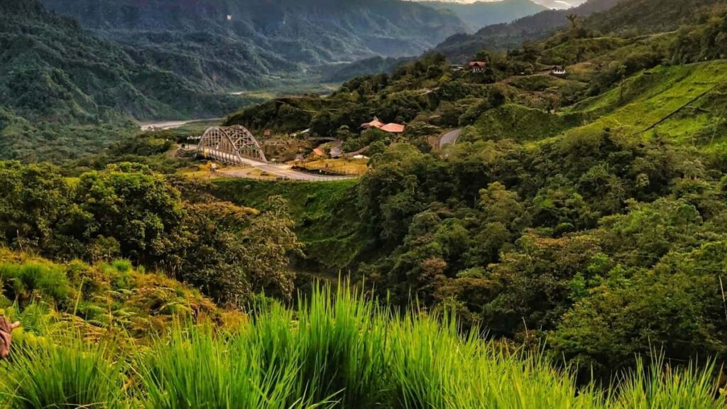 Descubre cómo las marcas están usando Instagram para su lanzamiento regional en Iraq y qué puede aprender Ecuador.
