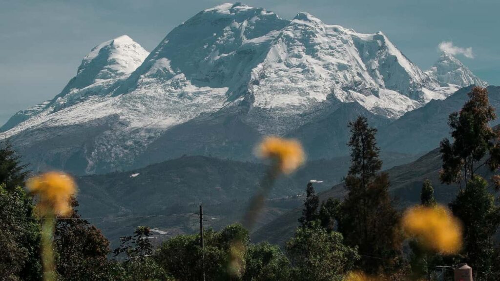 Guia practica para creadores en Ecuador: como contactar marcas armenias vinculadas a Netflix y monetizar canales con patrocinios, AVOD, FAST y merchandising.