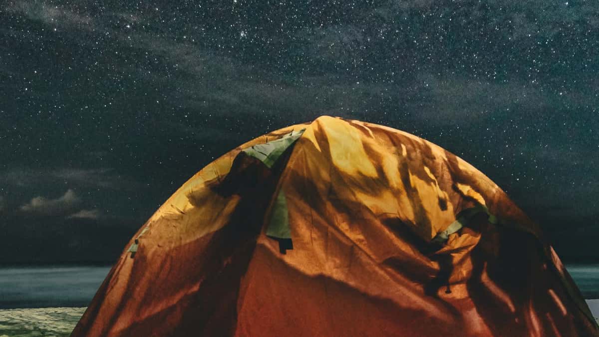 Captar marcas polacas en X para más inscripciones