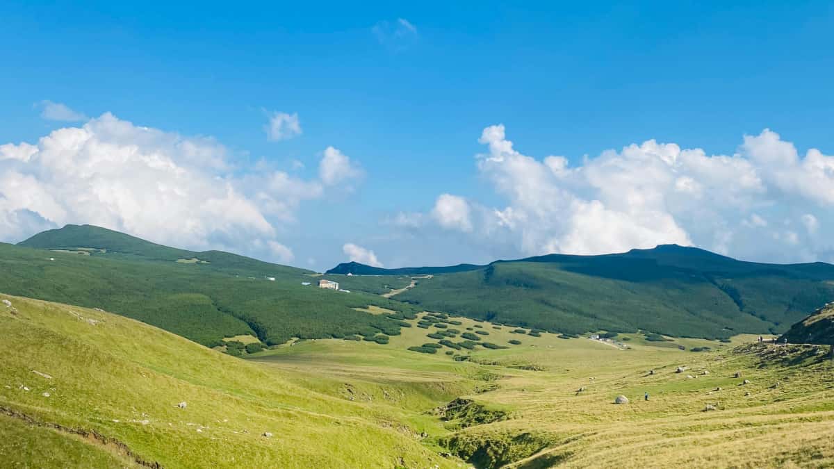 Anunciantes ECUADOR: Encuentra creadores Shopee NZ para campañas sostenibles