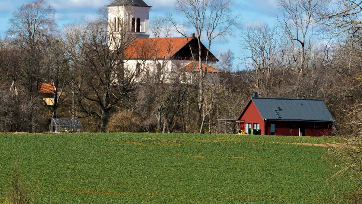 Anunciantes: cómo hallar creadores Hulu en Macedonia del Norte