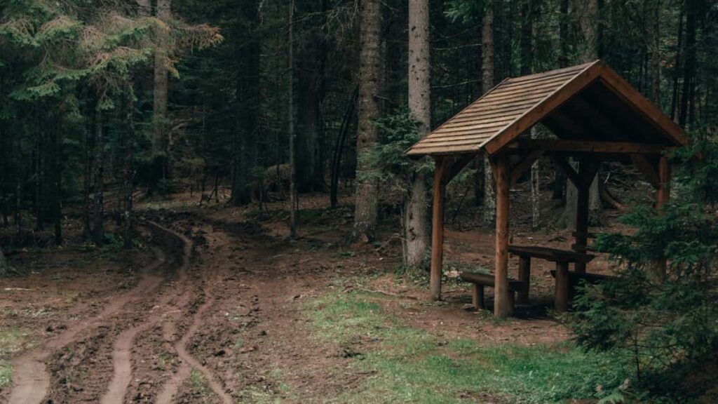 Guia practica para anunciantes en Ecuador: como localizar y contratar creadores austriacos activos en KakaoTalk para promover rutinas de bienestar, con datos, tacticas y riesgos.