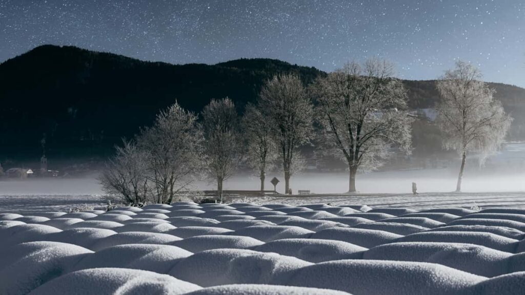 Guia practica para anunciantes en Ecuador: como localizar creadores de Laos en Chingari, validar demanda y reducir riesgos al testear mercados.