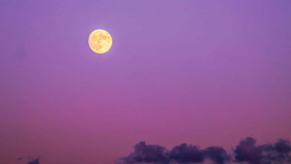 Guia practica para creadores en Ecuador: como contactar marcas de Bahrein en Rumble y compartir tus wardrobe hauls con estrategia, ejemplos y herramientas.