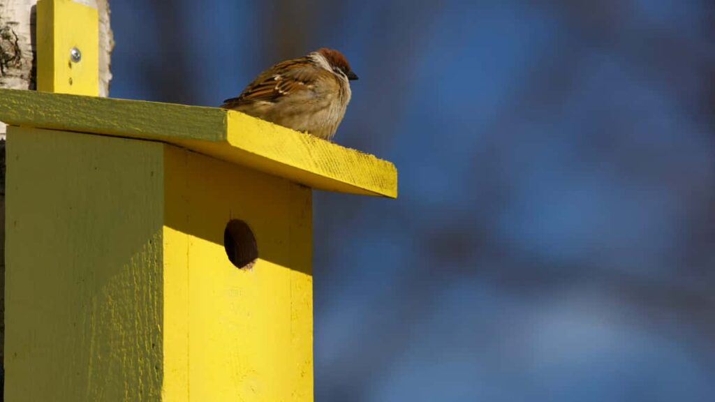 Guia practica para anunciantes en Ecuador sobre como encontrar y colaborar con creadores uruguayos en Reddit para promocionar tours locales.