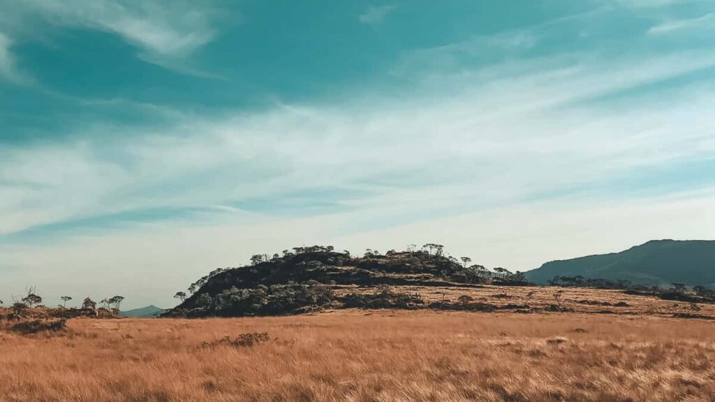 Guia practica para creadores en Ecuador sobre como encontrar, contactar y monetizar con marcas israelies en SoundCloud, con riesgos, tacticas y recursos actuales (nov 2025).