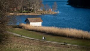 Guia practica para creadores en Ecuador: tacticas reales para conectar con marcas danesas en Douyin, optimizar propuestas y aumentar probabilidades de colaboracion.