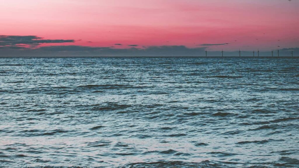 Estrategias practicas para identificar y activar creadoras de Etsy (Canada) que dirijan trafico cualificado a apps de fitness desde Ecuador.