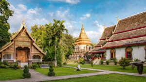 Guia practica para creadores en Ecuador que quieren contactar marcas ucranianas en Shopee y revisar productos de belleza y cuidado. Pasos, mensajes plantilla, riesgos y oportunidades.