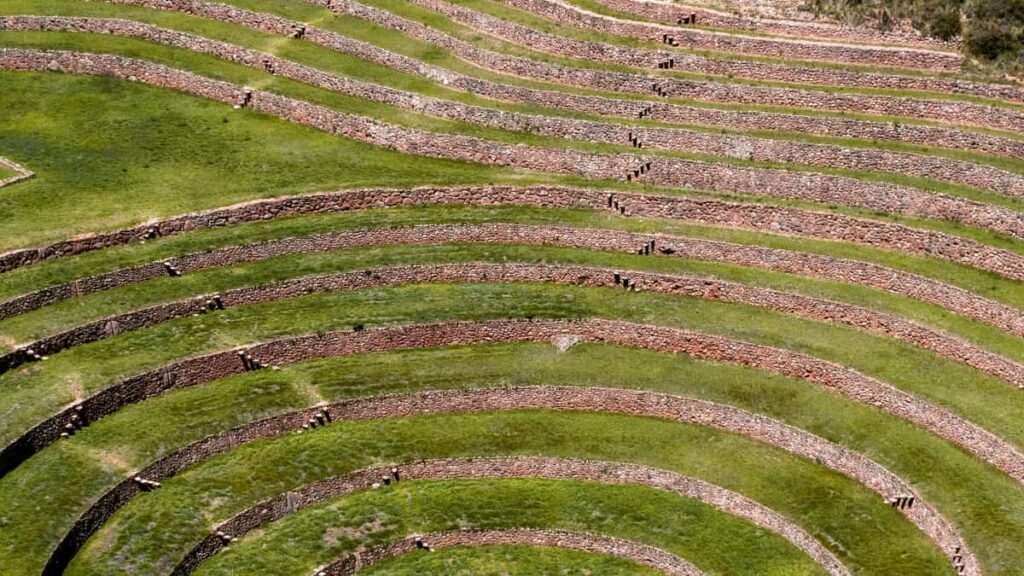 Guia practica para anunciantes en Ecuador: como localizar, evaluar y contratar creadores coreanos en eBay y marketplaces para lanzar lineas de cuidado de la piel.