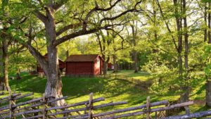 Guia practica para creadores en Ecuador: como localizar y contactar marcas iranies en Spotify para hacer videos de reaccion musical, con tacticas legales y de outreach.