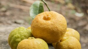 Guia practica para creadores en Ecuador que quieren localizar y contactar marcas rumanas en Amazon para crear looks y colaboraciones.