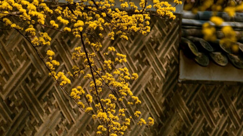 Guia practica para marcas en Ecuador que buscan creators chinos en KakaoTalk para iniciativas responsables: donde buscarlos, como evaluar valores y pasos para colaboracion efectiva.