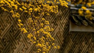 Guia practica para marcas en Ecuador que buscan creators chinos en KakaoTalk para iniciativas responsables: donde buscarlos, como evaluar valores y pasos para colaboracion efectiva.