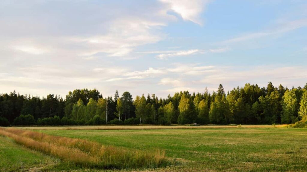 Guia practica para marcas en Ecuador que quieren encontrar creadores Shopee en Puerto Rico y ampliar su red de influencers.